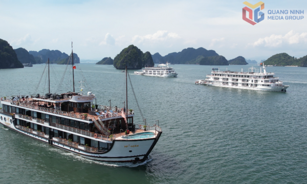 Phối hợp quản lý tốt hoạt động tham quan trên 2 vịnh Hạ Long, Lan Hạ