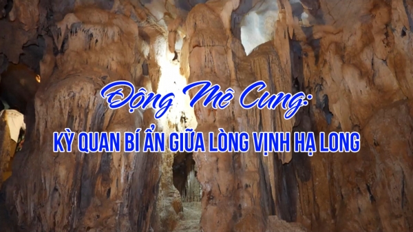 Động Mê Cung: Kỳ quan bí ẩn giữa lòng Vịnh Hạ Long