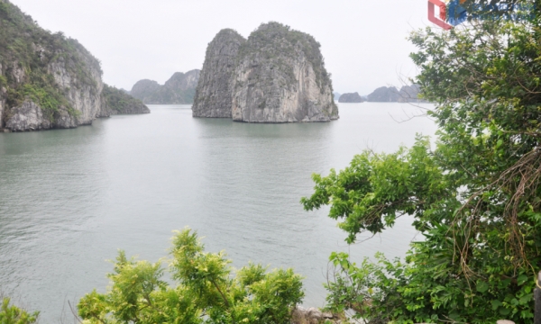 Sức hút tour xuyên vùng di sản vịnh Hạ Long – Lan Hạ