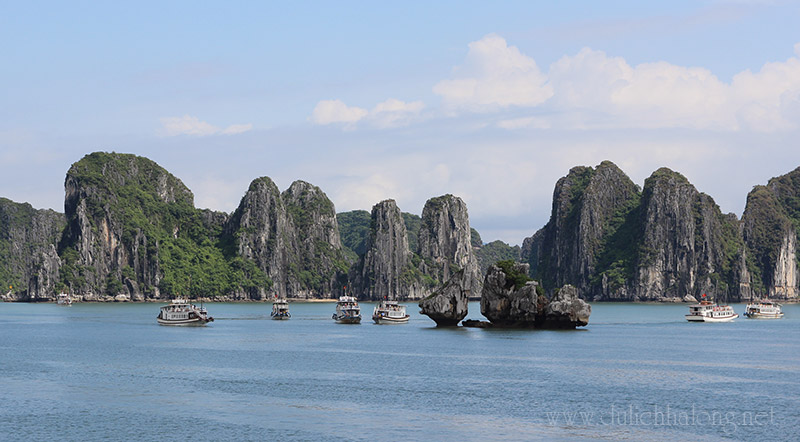 Ngất ngây cảnh sắc Vịnh Hạ Long khi vào hè