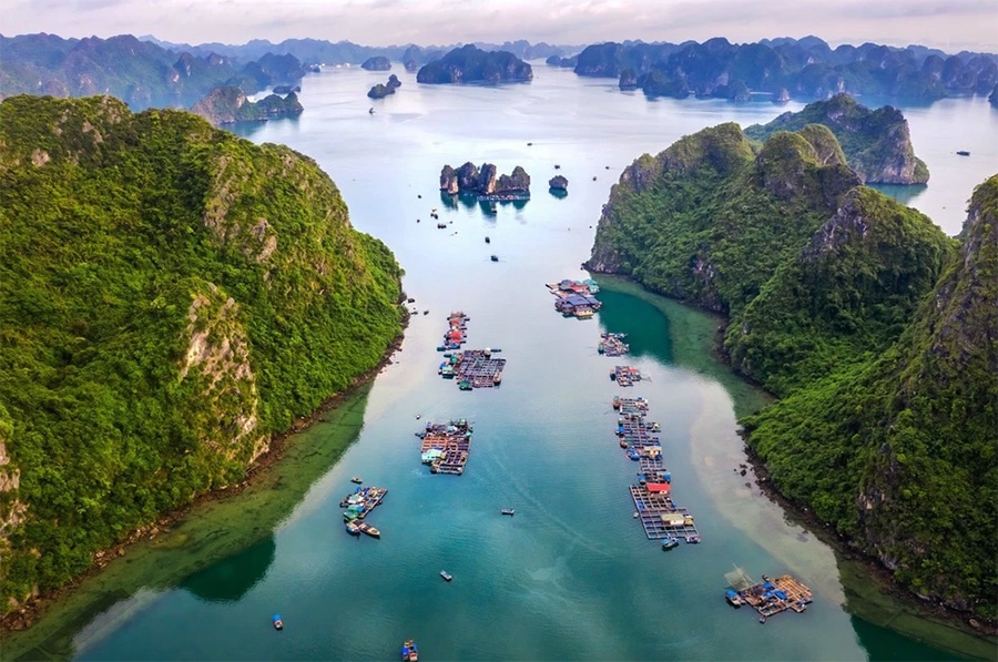 Tổng hợp những bài báo quốc tế về Vịnh Hạ Long năm 2025