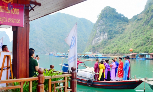 Hồi sinh “bảo tàng sống” trong lòng vịnh