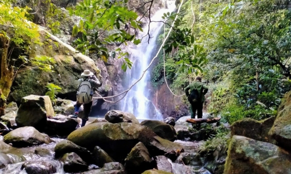 Mở “cánh cửa” du lịch rừng