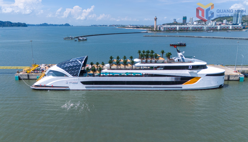 Du thuyền Dolphin Halong Cruise mới đi vào hoạt động đầu tháng 11/2025.