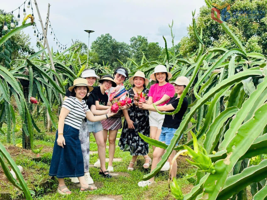 Du khách trải nghiệm thu hoạch nông sản tại Khe Mai Farm. Ảnh: Trung Anh