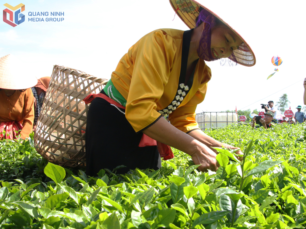 Từ những lá chè tươi xanh được kết hợp với các nguyên liệu tạo nên các món ăn từ trà độc đáo của ẩm thực Hải Hà.