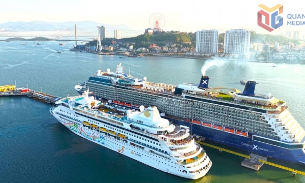 Quảng Ninh sẽ đón 6 chuyến tàu biển quốc tế dịp Tết Bính Ngọ