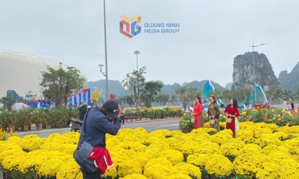 Đại lộ hoa và công nghệ ánh sáng bên vịnh Hạ Long: Không gian trải nghiệm đặc biệt