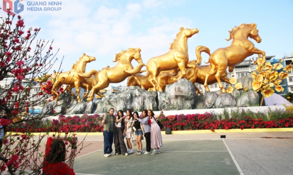 Chiêm ngưỡng hoa và ánh sáng rực rỡ bên bờ di sản