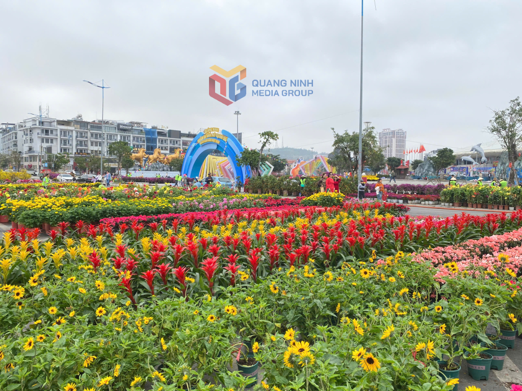 Không gian hoa rực rỡ sắc màu.