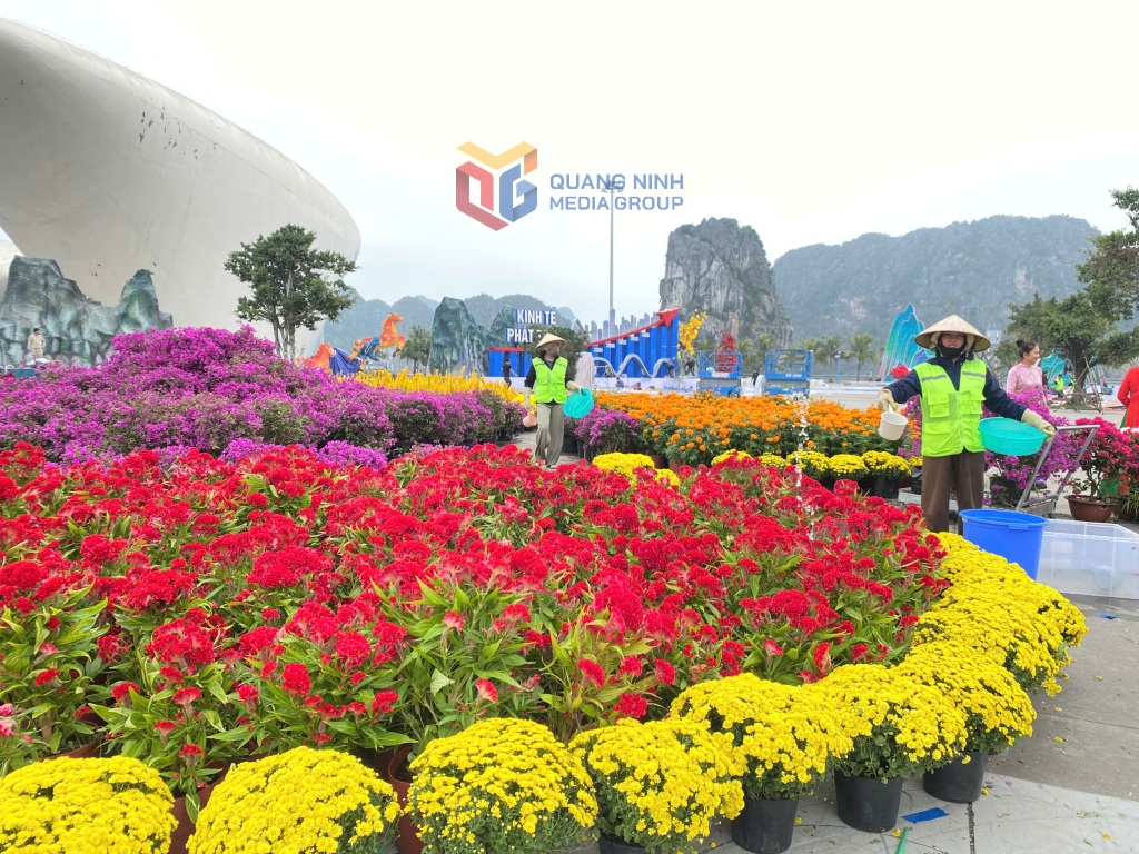 Các công nhân chăm sóc hoa.