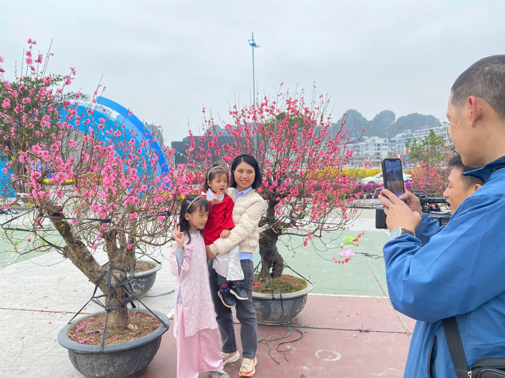 Những dãy đào khoe sắc sặc sỡ đón xuân về.