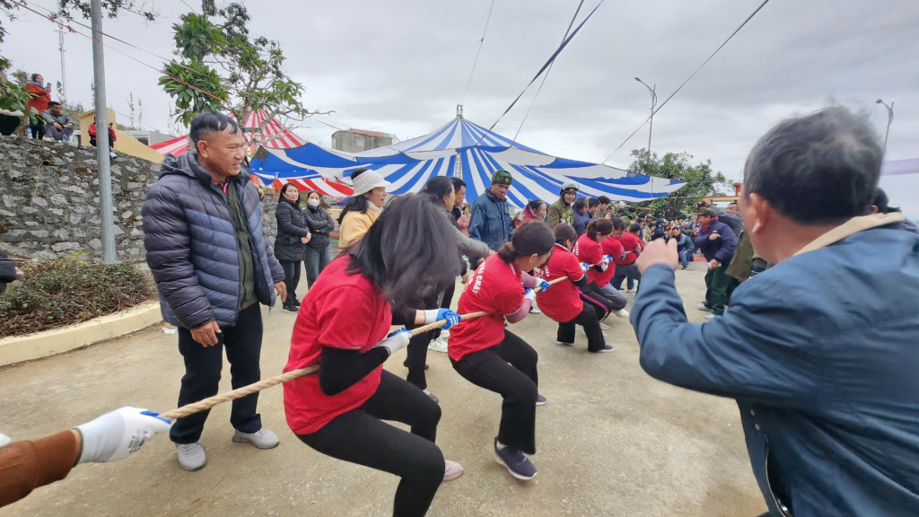 Ảnh trong văn bản