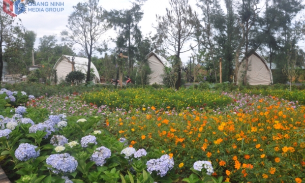 Cô Tô – Dấu ấn đảo xanh