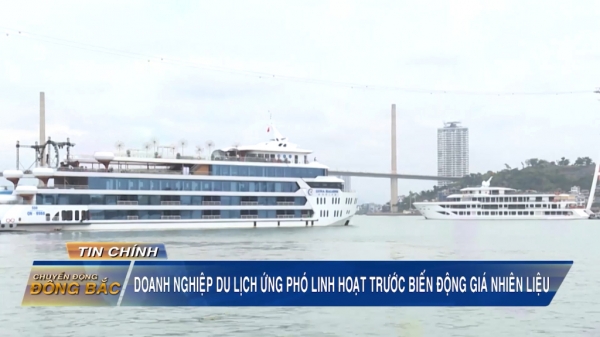 Doanh nghiệp du lịch ứng phó linh hoạt trước biến động giá nhiên liệu