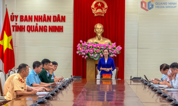 Từ 1/4 khai thông du lịch vịnh Hạ Long – vịnh Lan Hạ