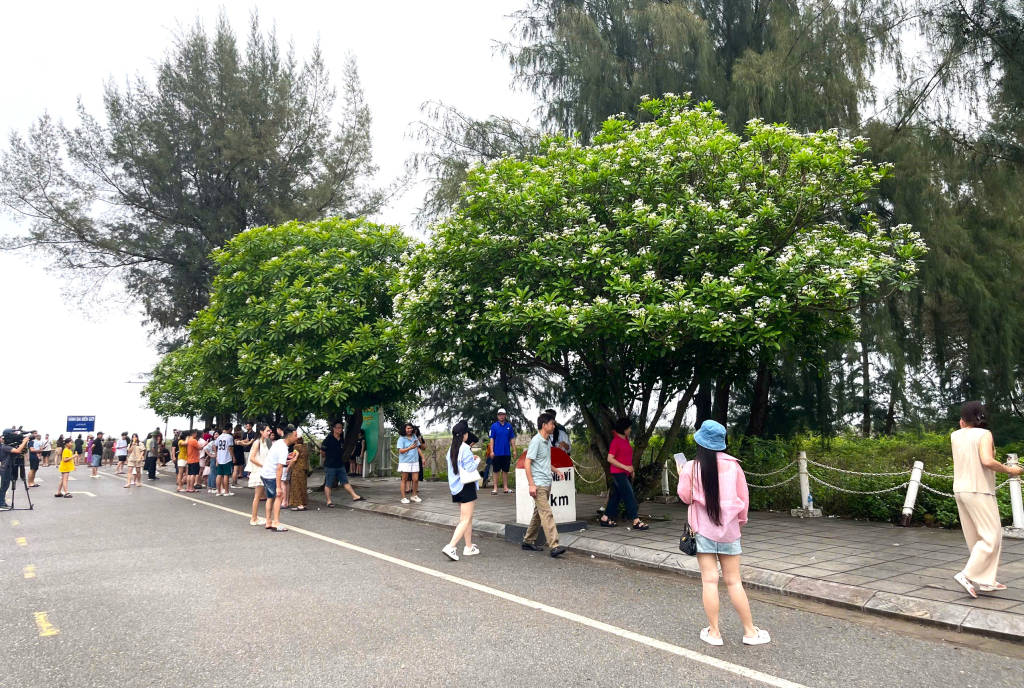 Rất đông du khách đến tham quan, chụp ảnh tại mũi Sa Vỹ. 