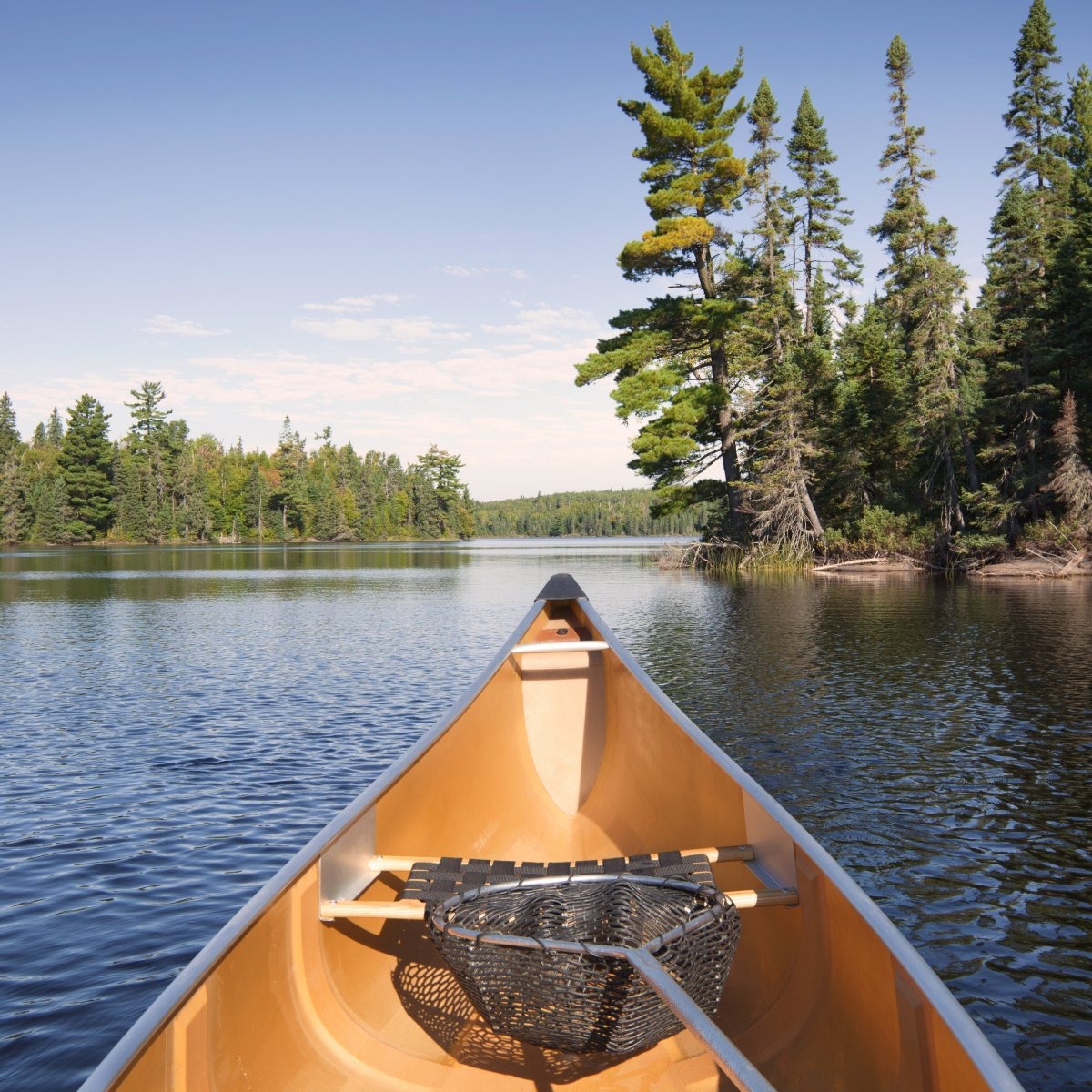 An experience we will never forget